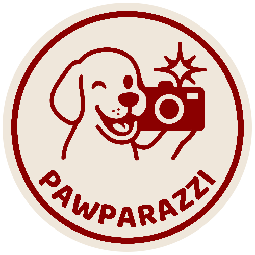 PAWPARAZZI LOGO